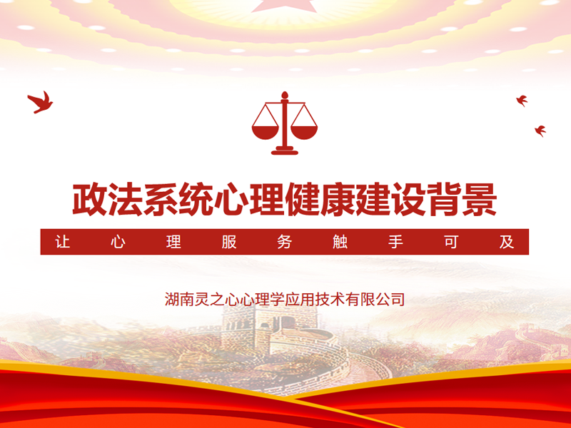 政法系統建設背景